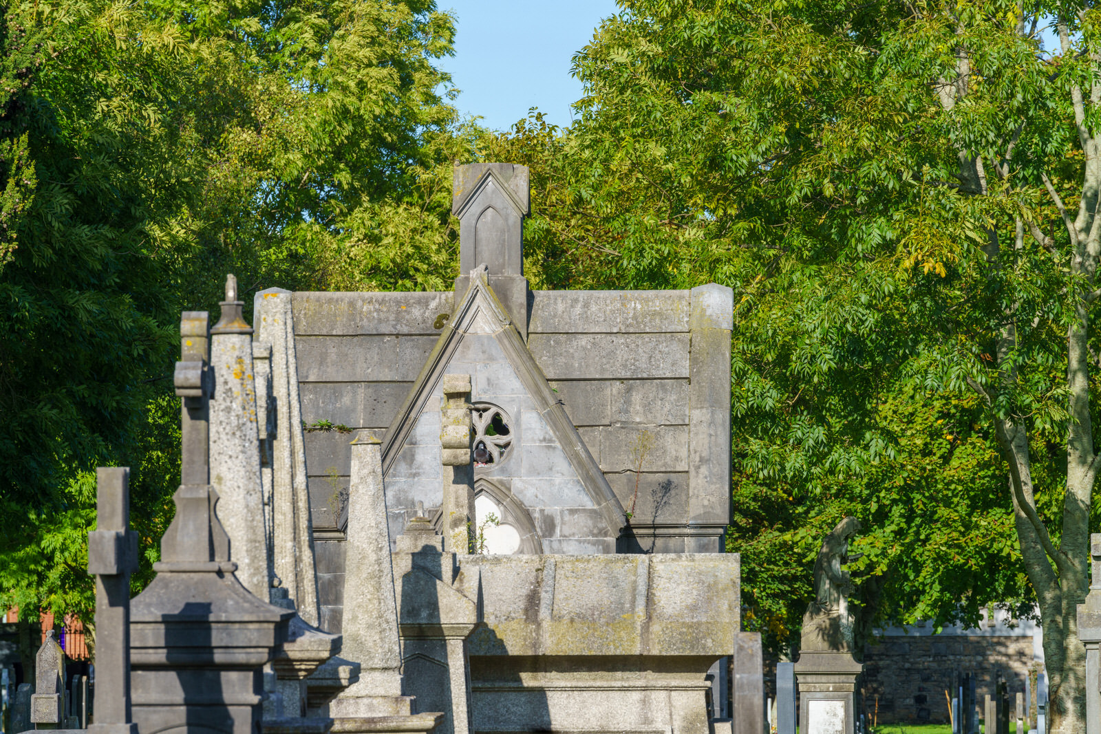 THE OLDER SECTION OF GLASNEVIN CEMETERY [I USED A SONY 70-200MM GM LENS] 013