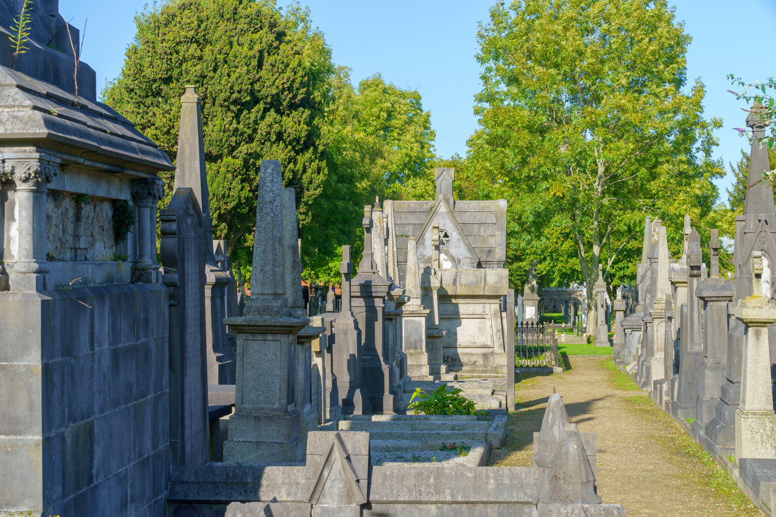 THE OLDER SECTION OF GLASNEVIN CEMETERY [I USED A SONY 70-200MM GM LENS] 014