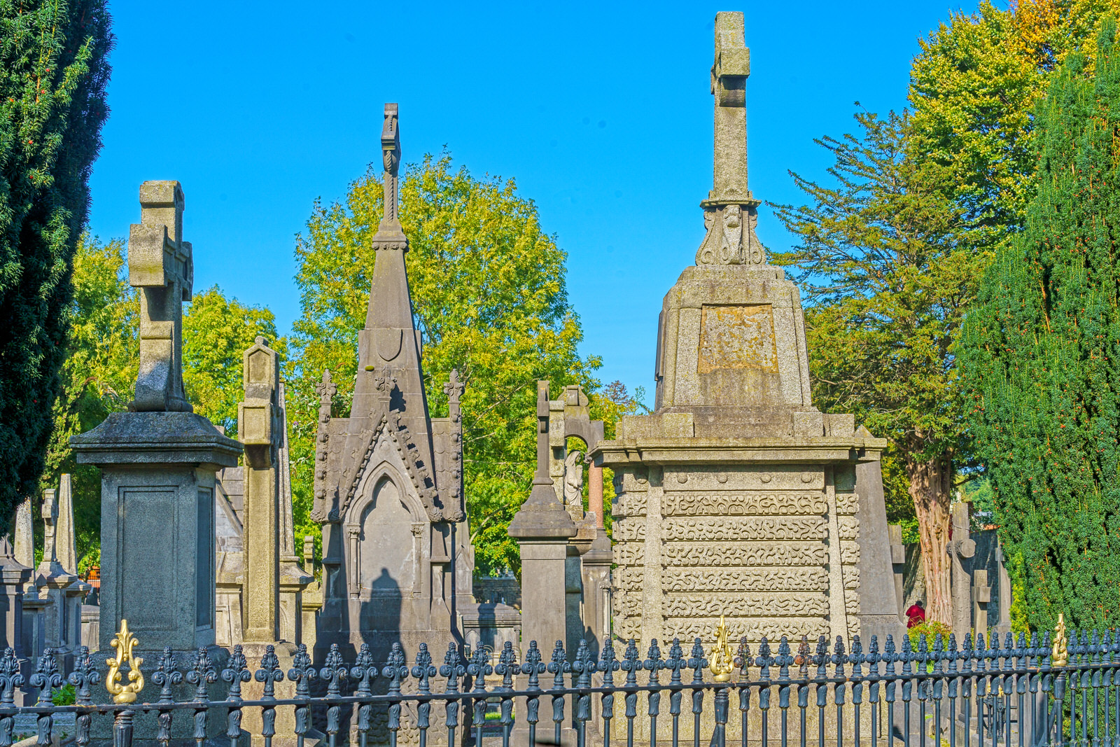 THE OLDER SECTION OF GLASNEVIN CEMETERY [I USED A SONY 70-200MM GM LENS] 016