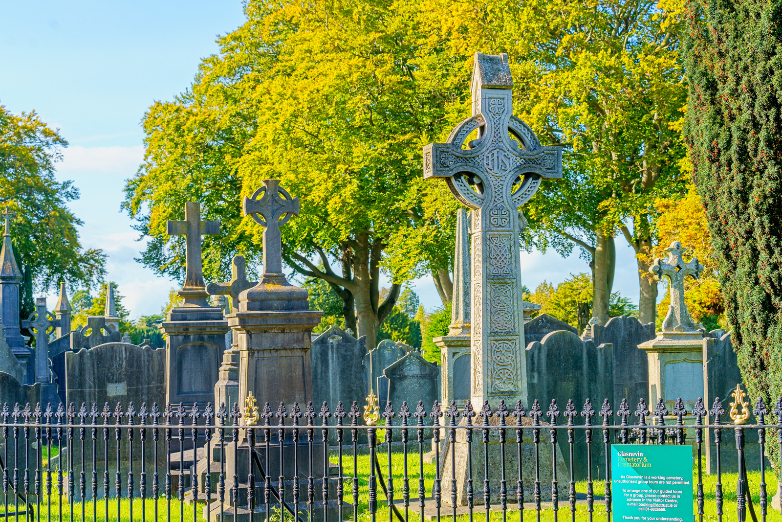THE OLDER SECTION OF GLASNEVIN CEMETERY [I USED A SONY 70-200MM GM LENS] 018
