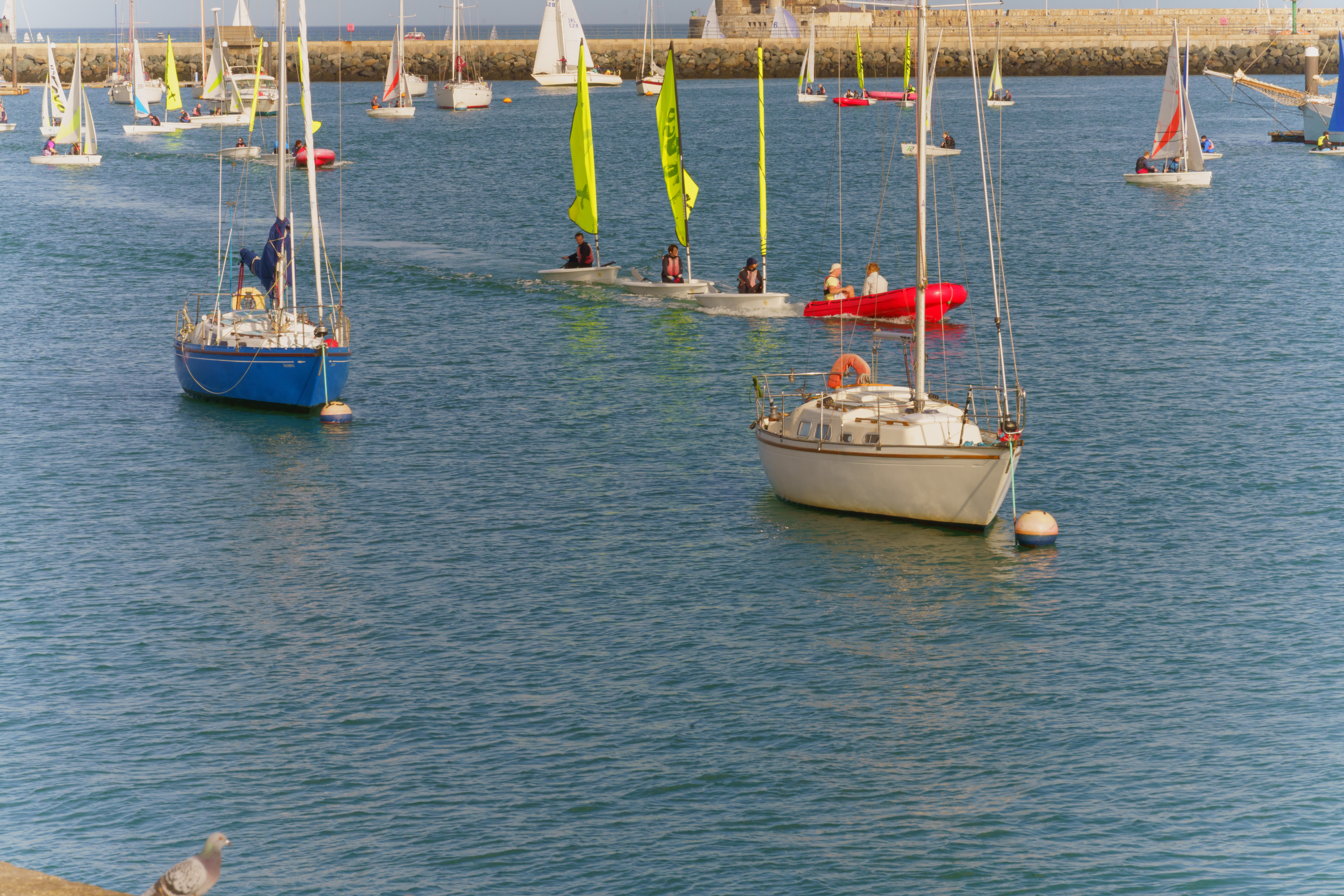 FOLLOW THE LEADER IN DUN LAOGHAIRE HARBOUR [LEARNING TO SAIL]
 005