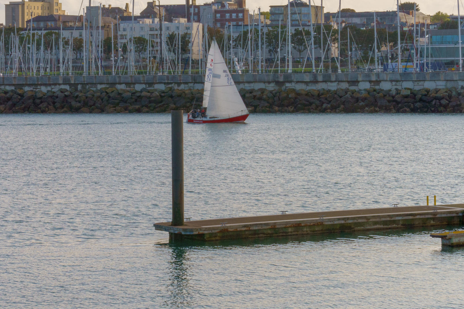 THE SECTION OF THE MARINA NEAR THE WESTERN BREAKWATER [DUN LAOGHAIRE HARBOUR]
 009