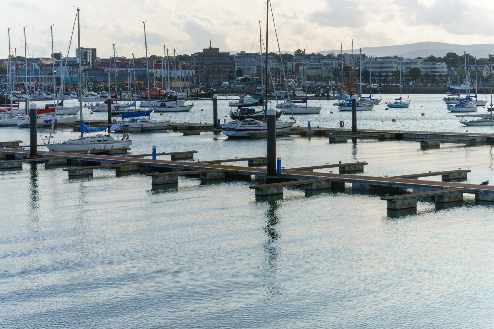 THE SECTION OF THE MARINA NEAR THE WESTERN BREAKWATER [DUN LAOGHAIRE HARBOUR]
 010