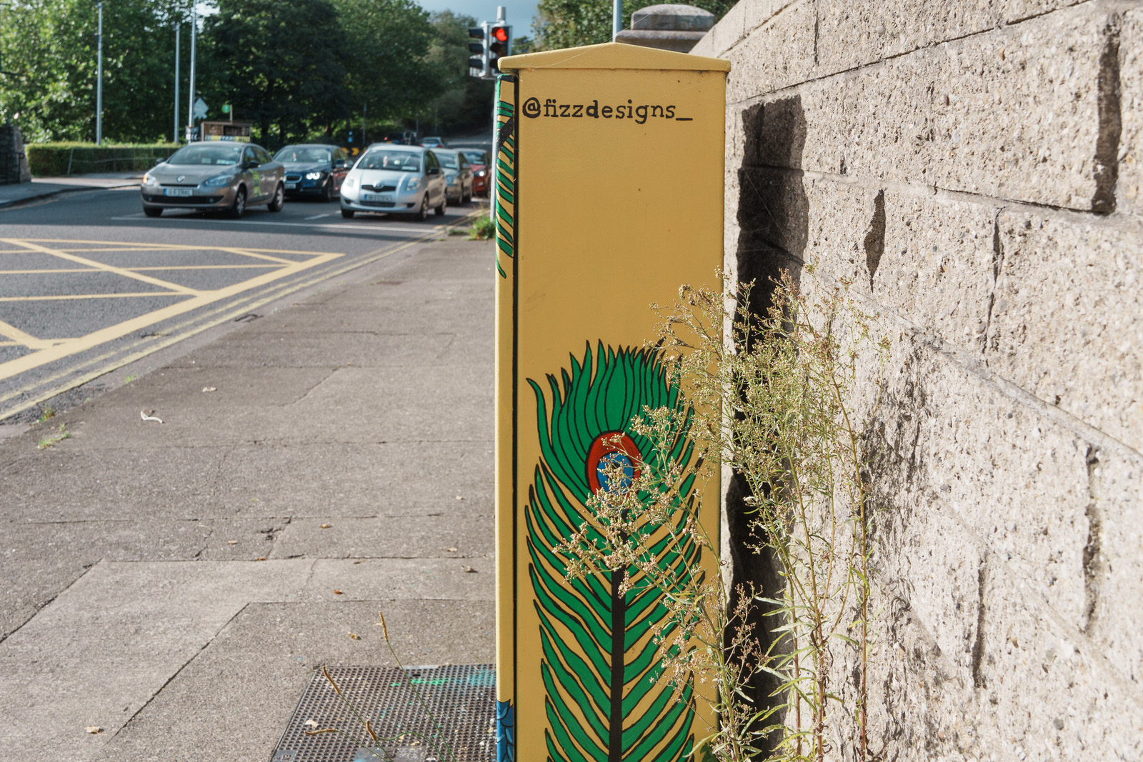 PEACOCK BY CONOR FITZPATRICK @FIZZDESIGNS [PAINT-A-BOX STREET ART IN MILLTOWN] 004