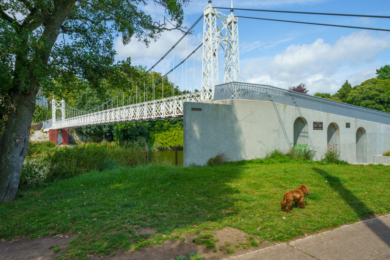 THE REPAIRED AND RESTORED SHAKEY BRIDGE ACROSS THE RIVER LEE [THERE IS A LITTLE TEDDY BEAR IN SOME OF THE IMAGES]
 008