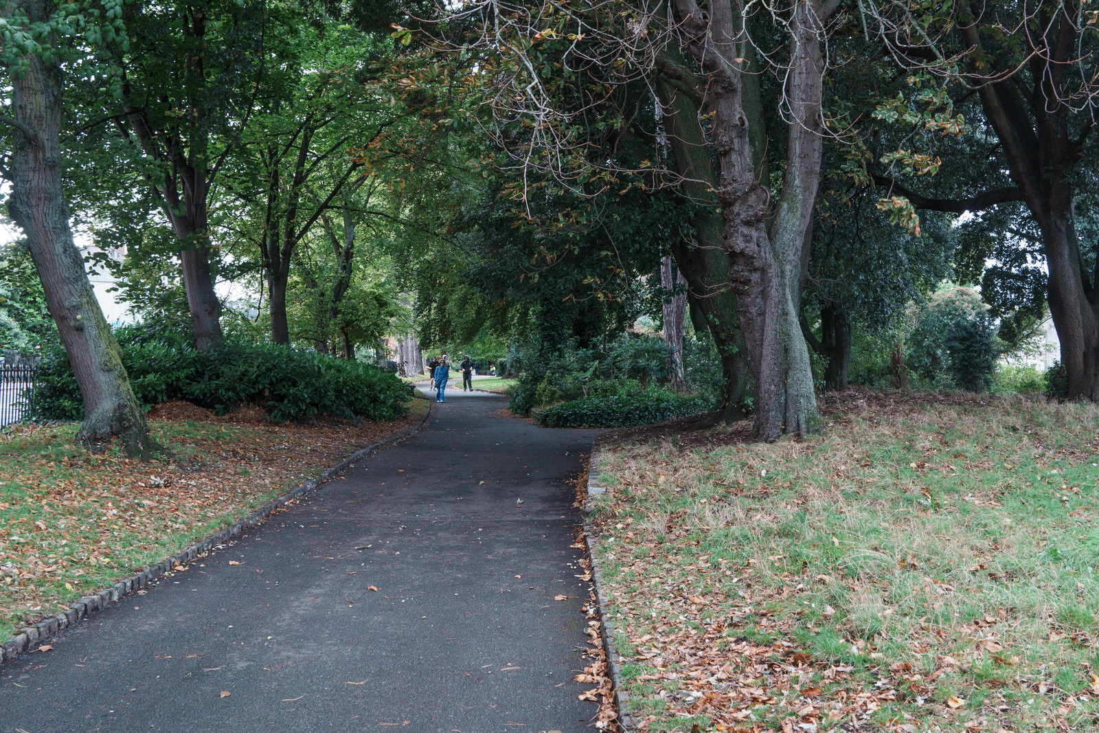 A SMALL BUT POPULAR PUBLIC PARK [IN HAROLD'S CROSS] 004