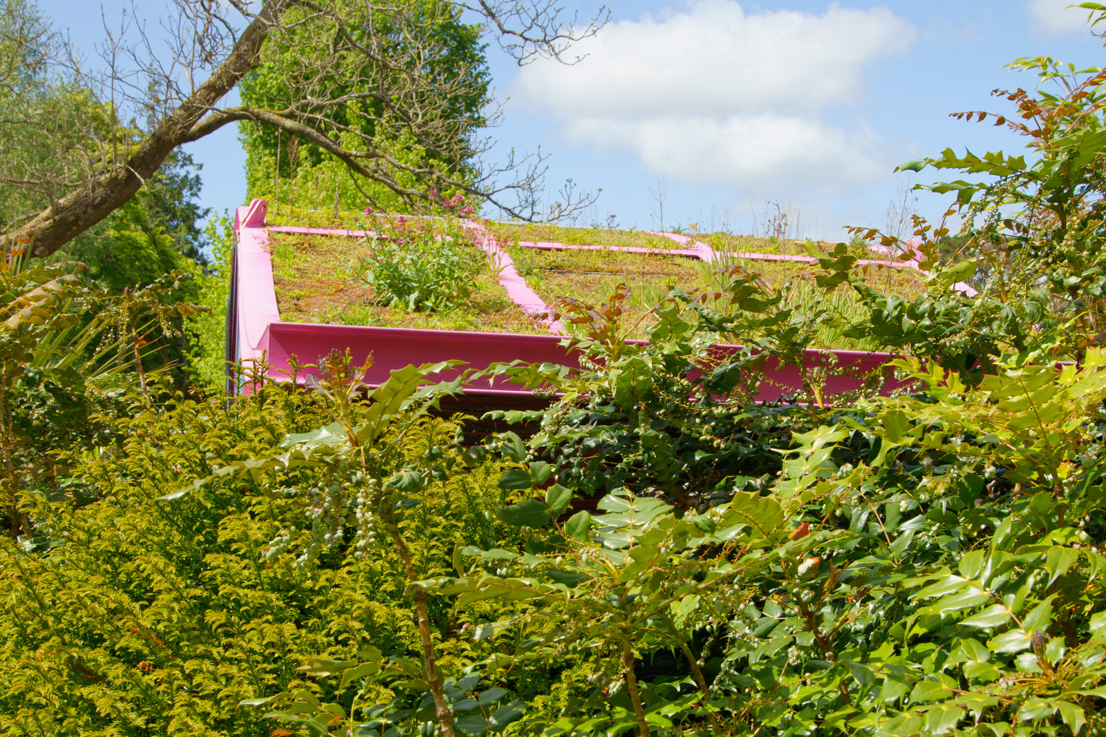 THE SKY GARDEN BY DIARMUID GAVIN [WON AN AWARD AT THE CHELSEA FLOWER SHOW IN 2011] 006