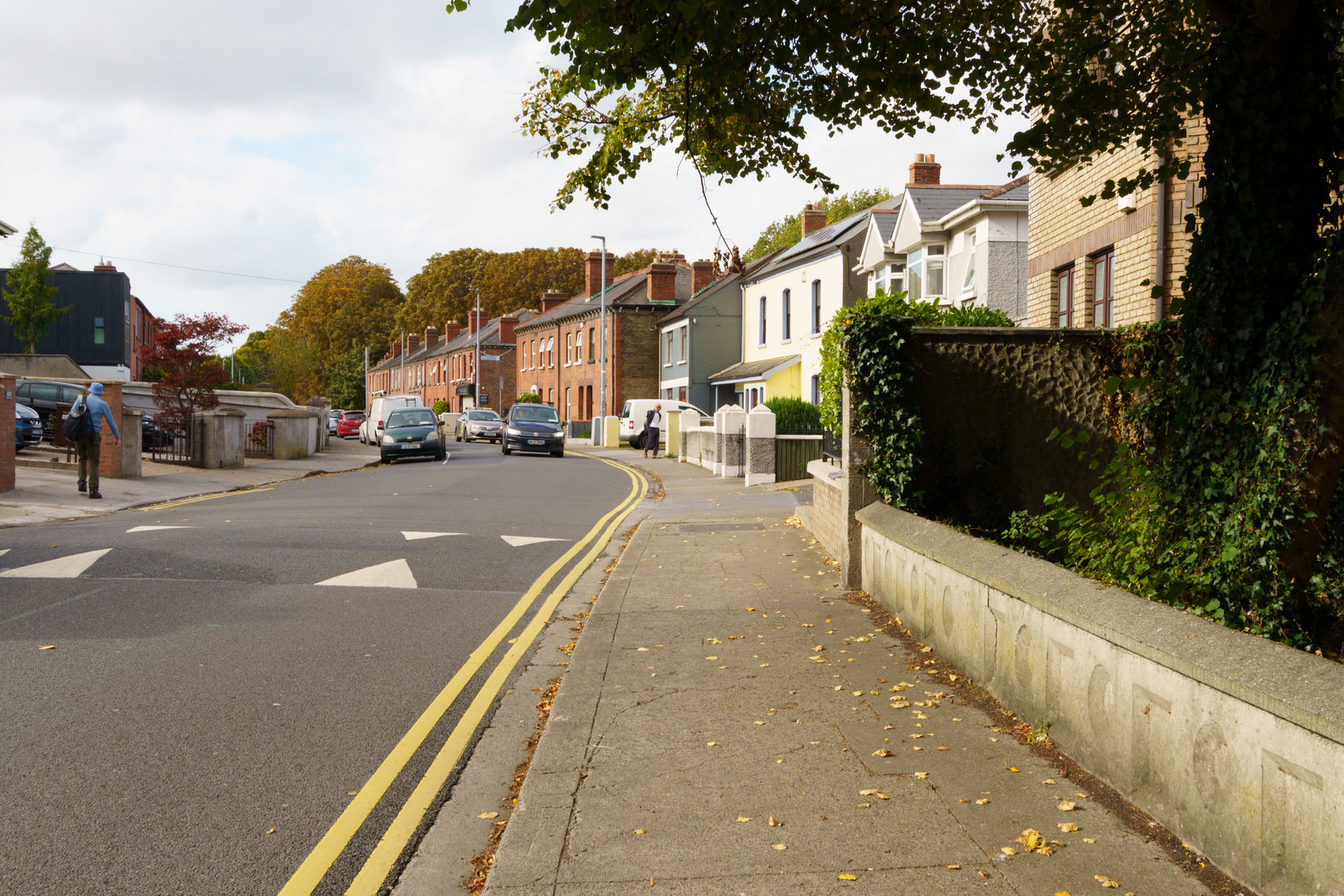 BOTANIC AVENUE