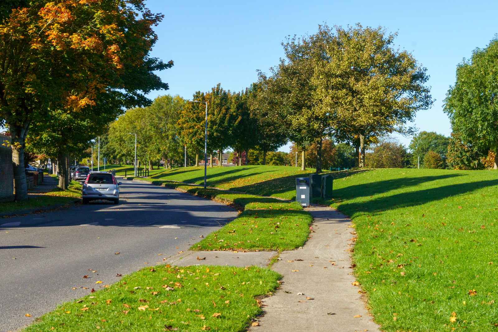 ASHINGTON PARK IN CABRA