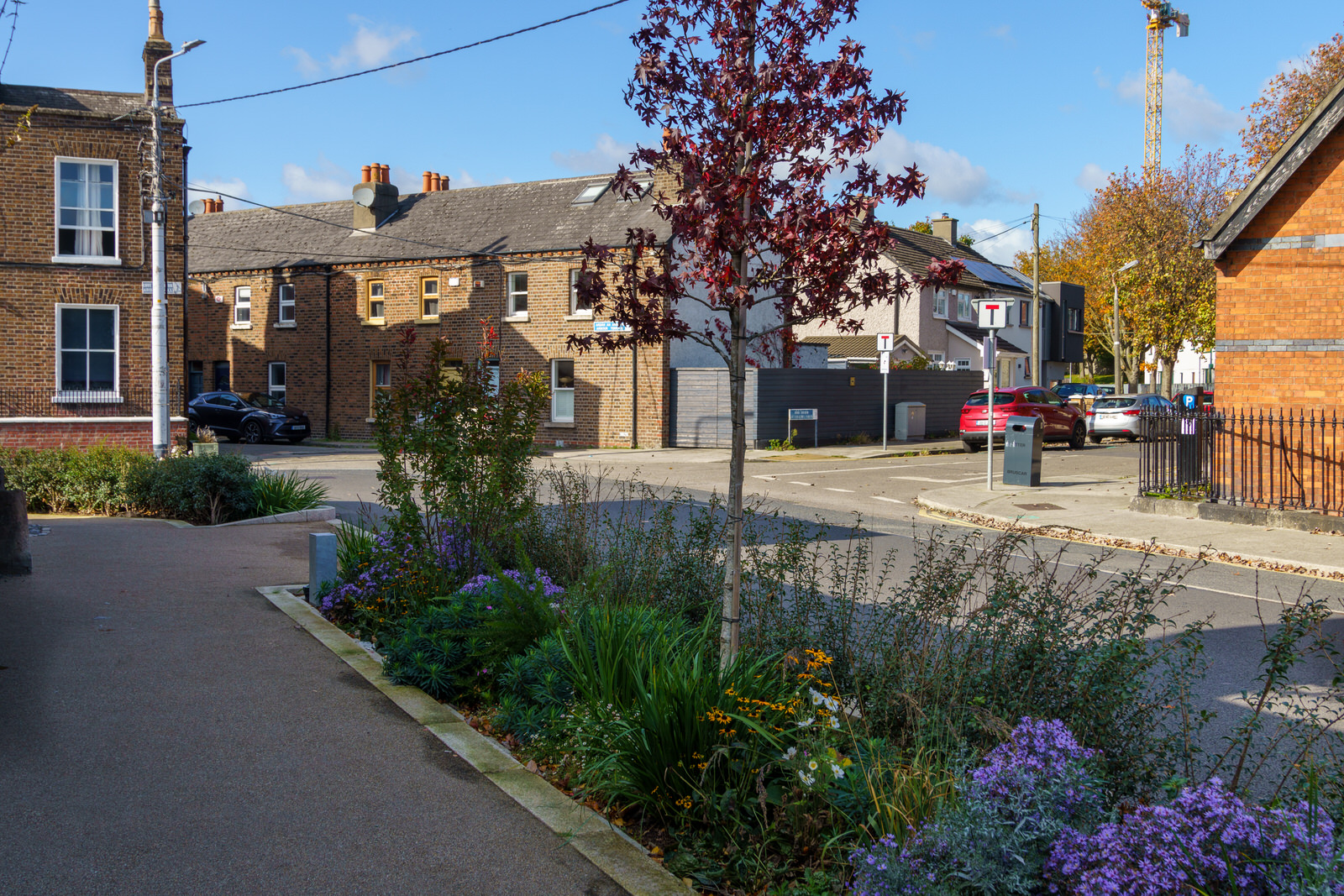 ARBOUR HILL IN D7