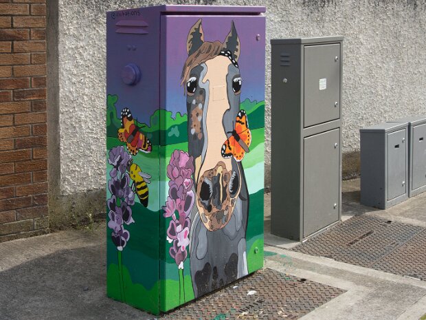 HORSE BY CAITLIN GRANT The artwork titled 'Horse' and was created by the artist Caitlin Grant in 2023. It is part of the Dublin Canvas public...