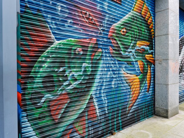 PAINT-A-SHUTTER Explore a dedicated street photography collection documenting the vibrant rise of shutter murals in Dublin. From...