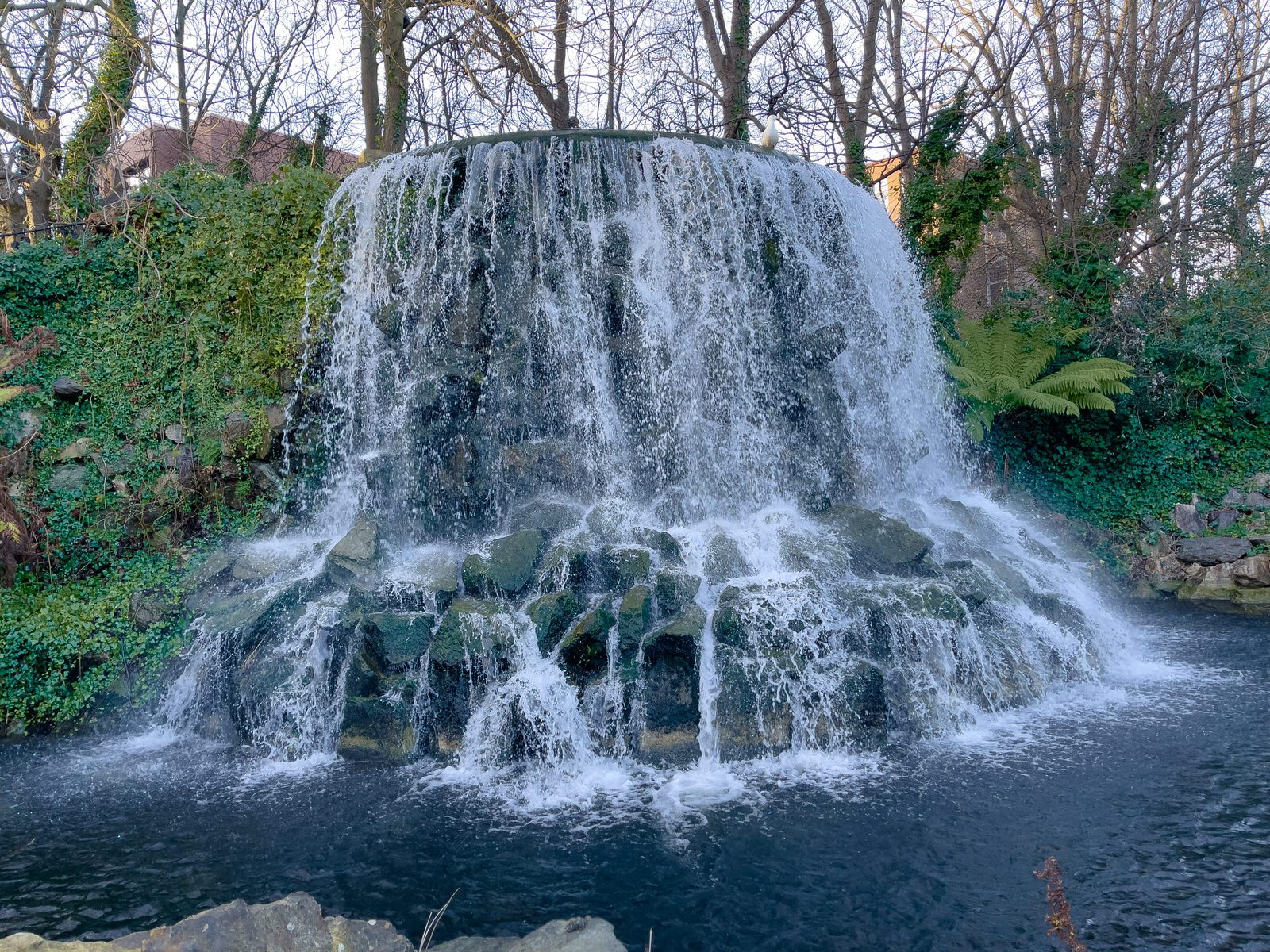 WATER FEATURES AT IVEAGH GARDENS 006