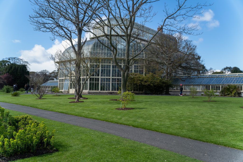 A FEW OF THE GLASSHOUSES IN THE BOTANIC GARDENS  005