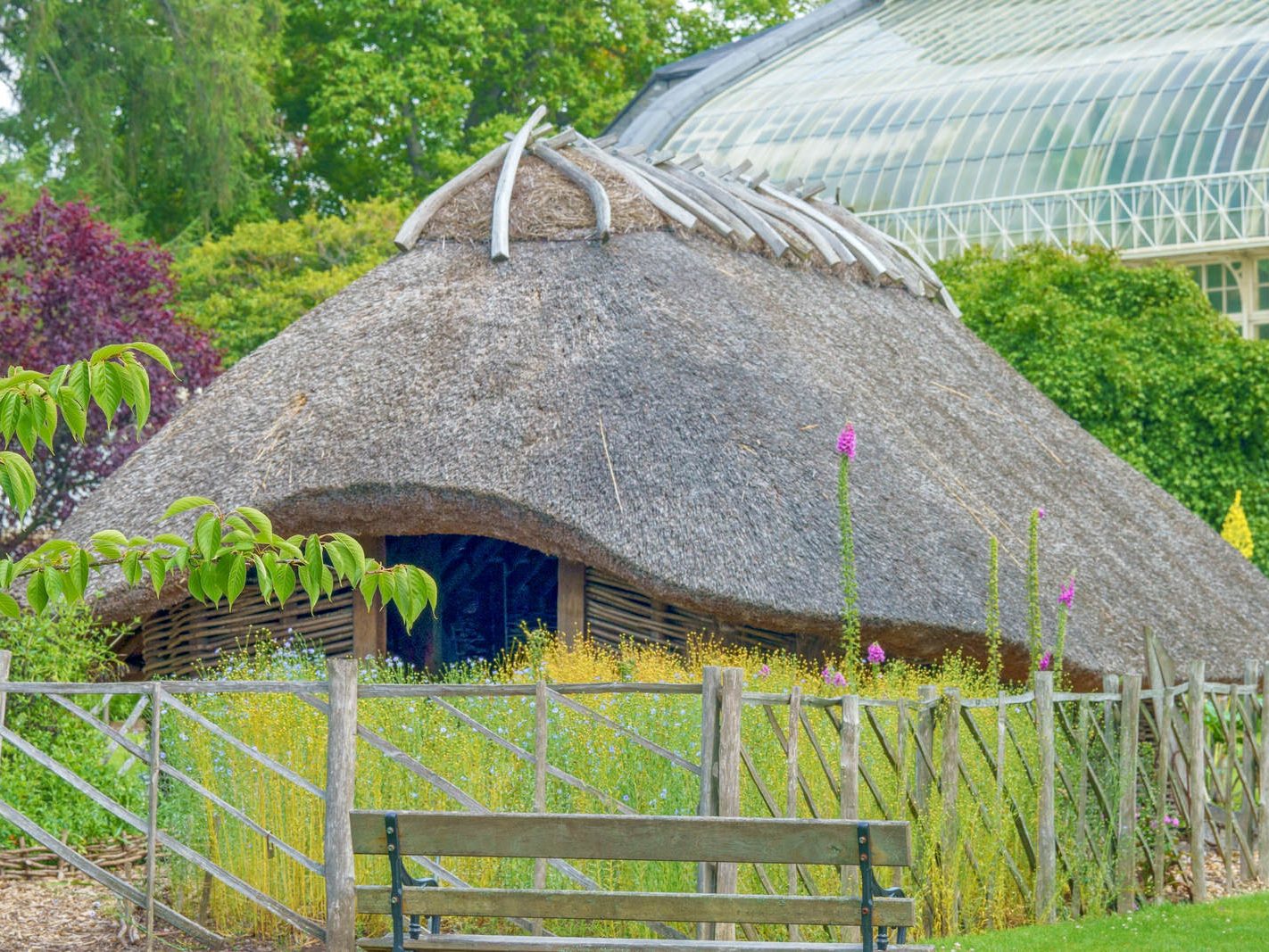 HIBERNO-NORSE VIKING HOUSE AT THE BOTANIC GARDENS [BY EOIN DONNELLY] 003