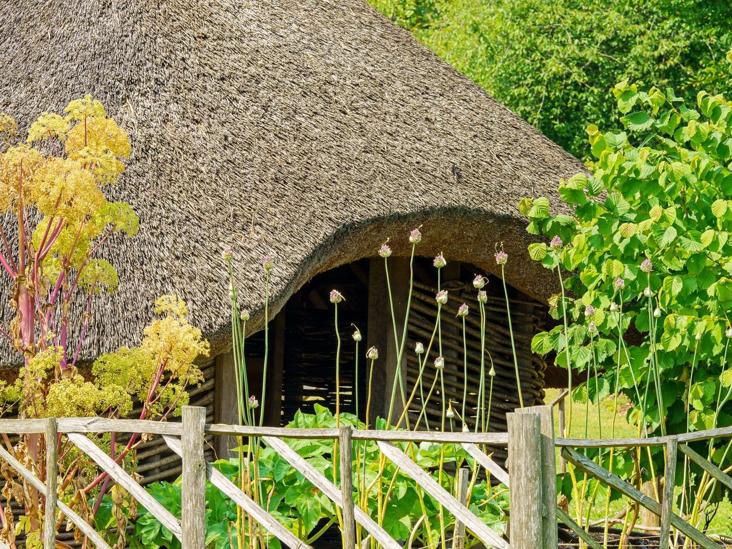 HIBERNO-NORSE VIKING HOUSE AT THE BOTANIC GARDENS [BY EOIN DONNELLY] 001