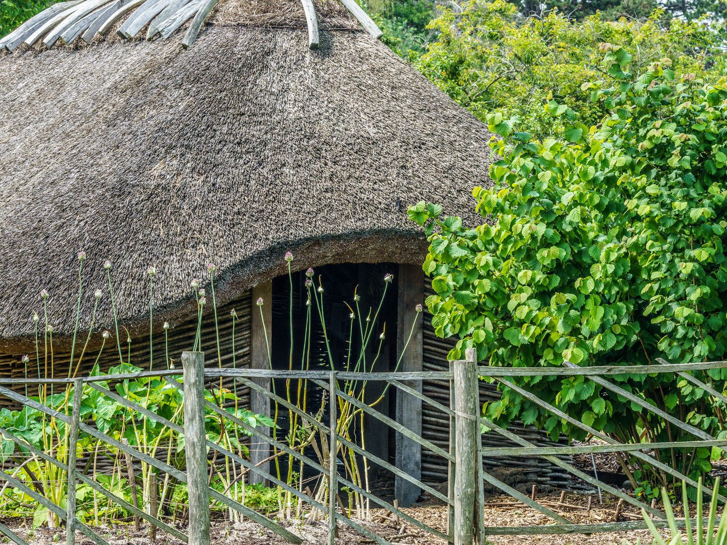 HIBERNO-NORSE VIKING HOUSE AT THE BOTANIC GARDENS [BY EOIN DONNELLY] 004