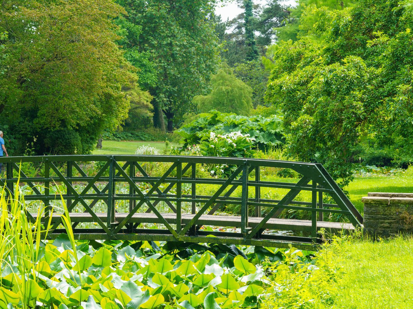 THE SMALL FOOTBRIDGE [ACROSS THE LILY POND AT THE BOTANIC GARDENS] 001