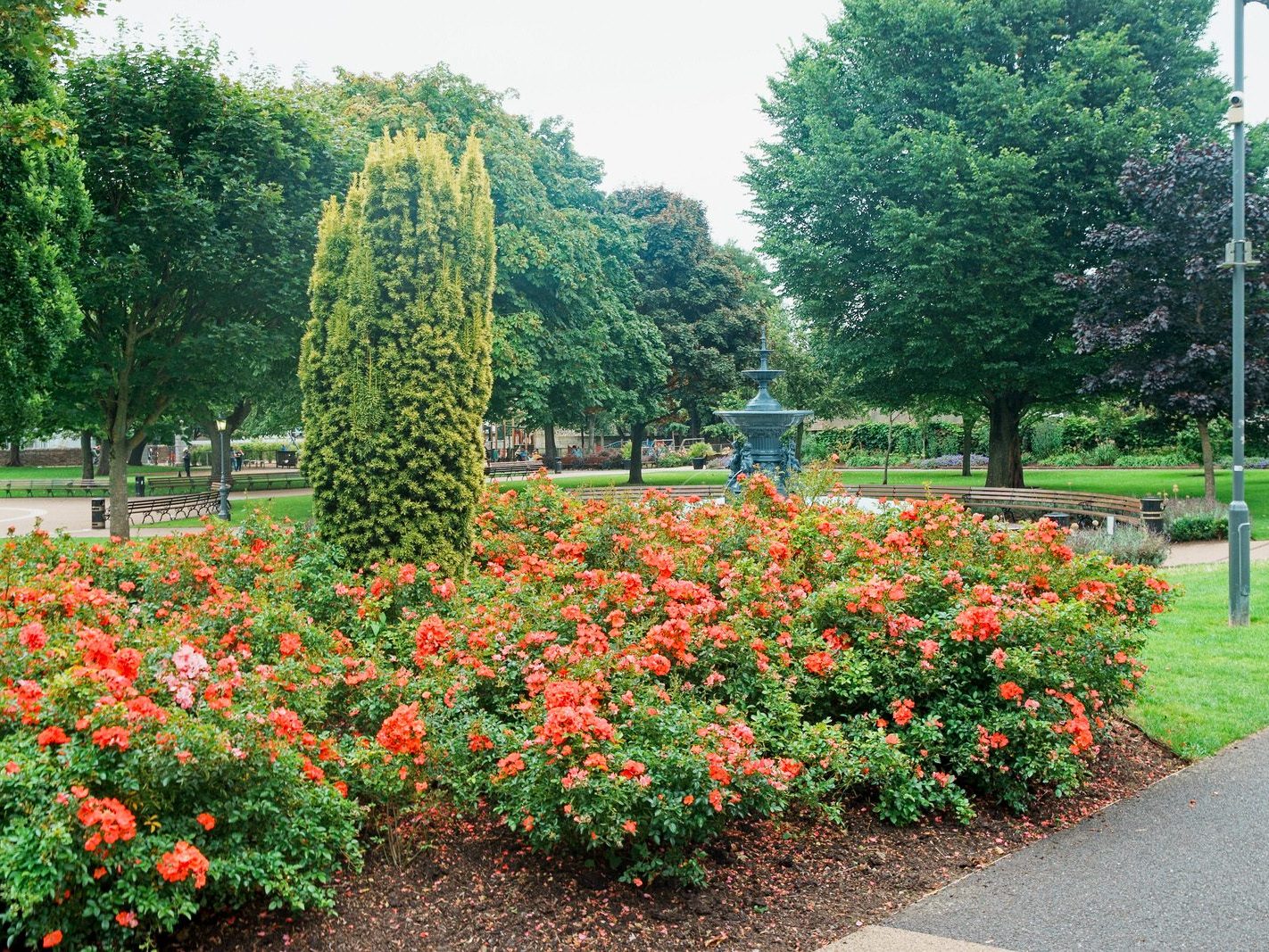 I REALLY LIKE THE PEOPLE'S PARK [AN ATTRACTIVE PUBLIC SPACE IN DUN LAOGHAIRE] 012