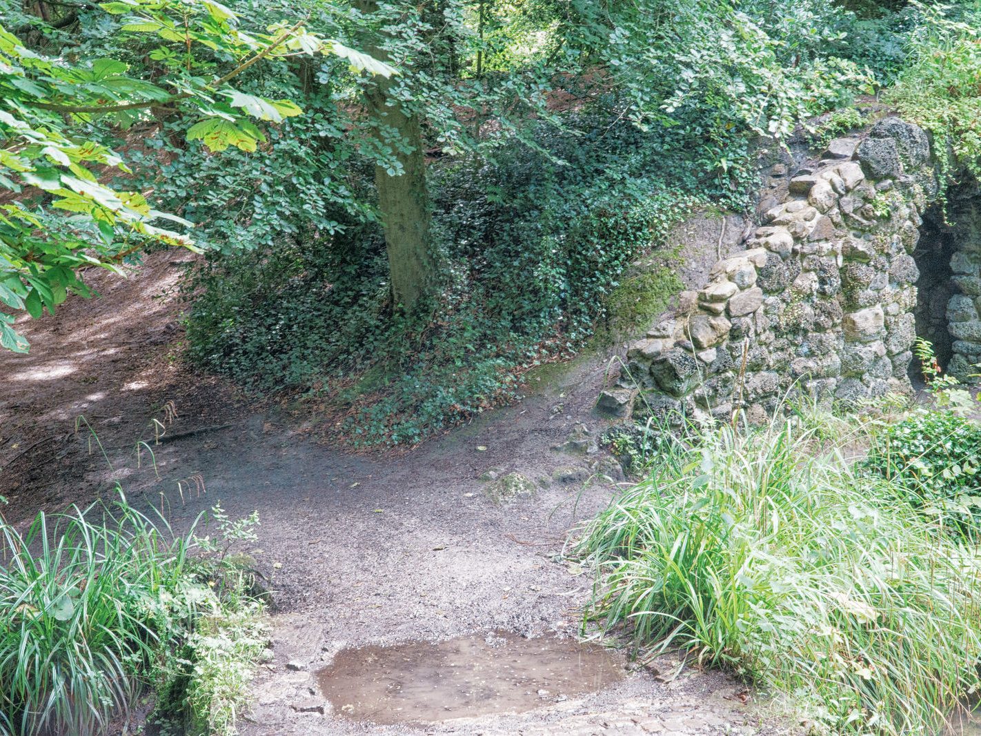 THE HERMIT'S CAVE AND NEARBY [ST ANNE'S PARK IN RAHENY] 009