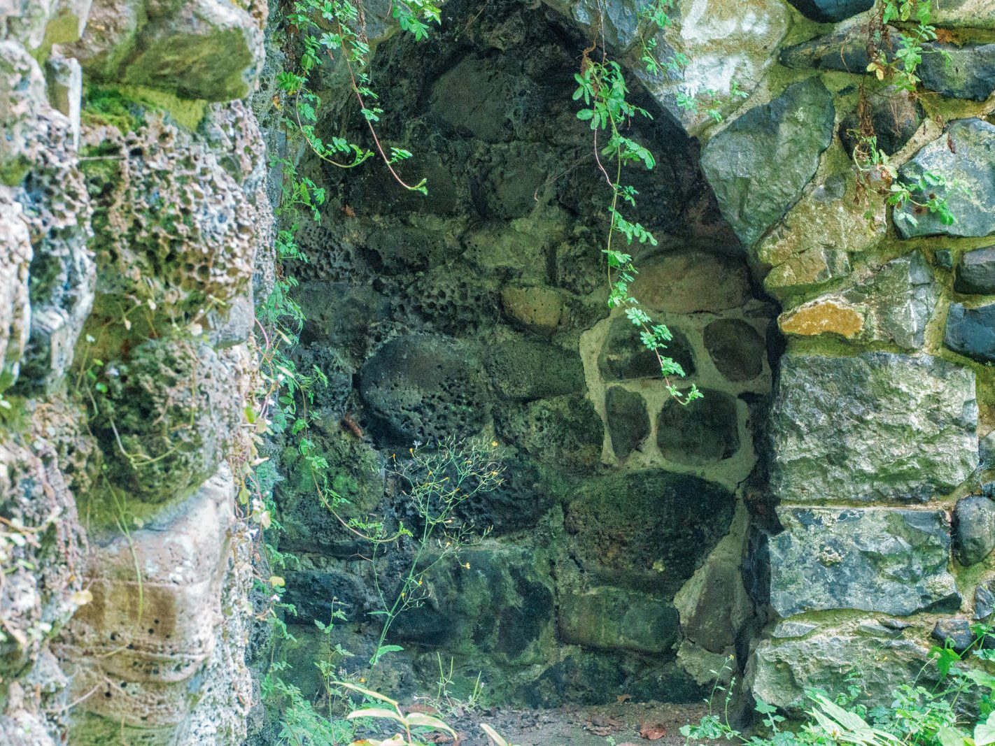 THE HERMIT'S CAVE AND NEARBY [ST ANNE'S PARK IN RAHENY] 012