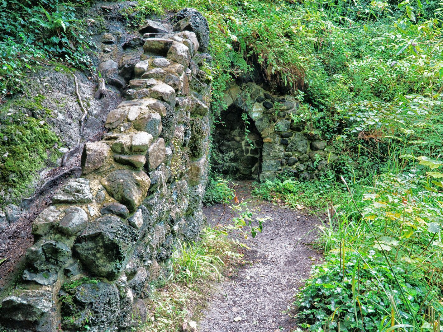 THE HERMIT'S CAVE AND NEARBY [ST ANNE'S PARK IN RAHENY] 011