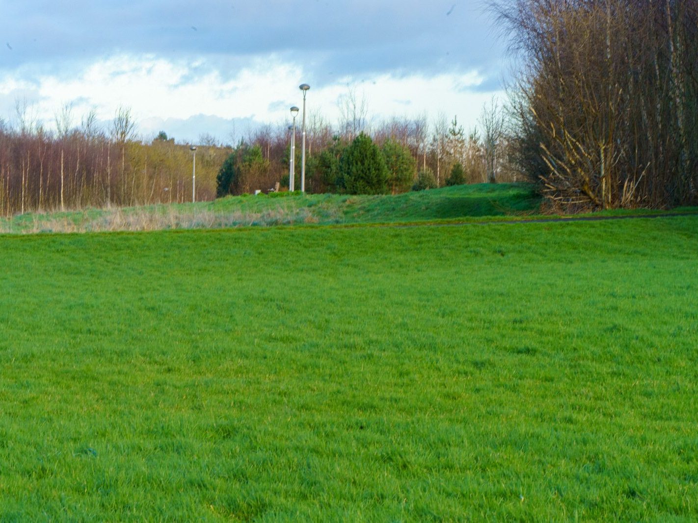 A SECTION OF TOLKA VALLEY PARK [THERE WERE MANY ON ELECTRIC BIKES BUT FEW WALKERS]-228239-1