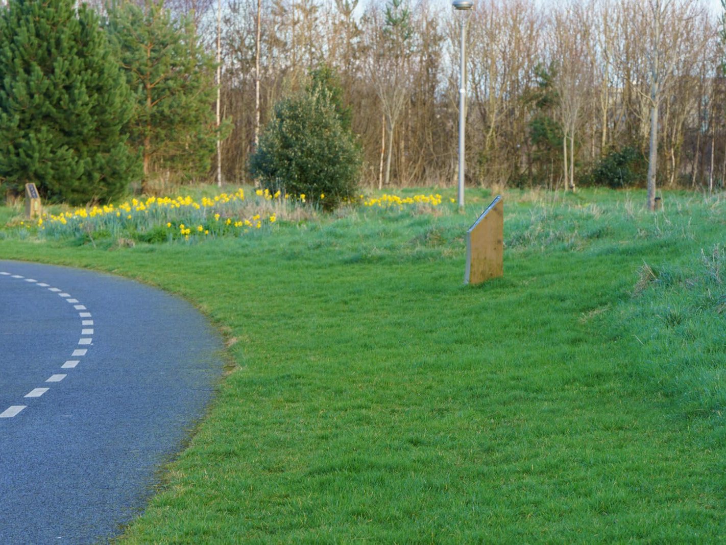 A SECTION OF TOLKA VALLEY PARK [THERE WERE MANY ON ELECTRIC BIKES BUT FEW WALKERS]-228251-1