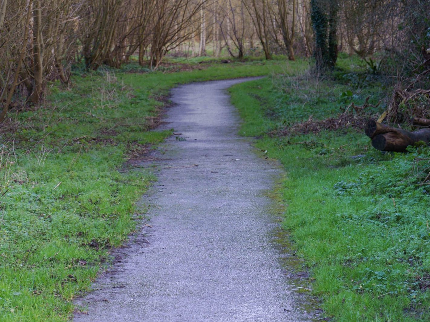 A SECTION OF TOLKA VALLEY PARK [THERE WERE MANY ON ELECTRIC BIKES BUT FEW WALKERS]-228263-1