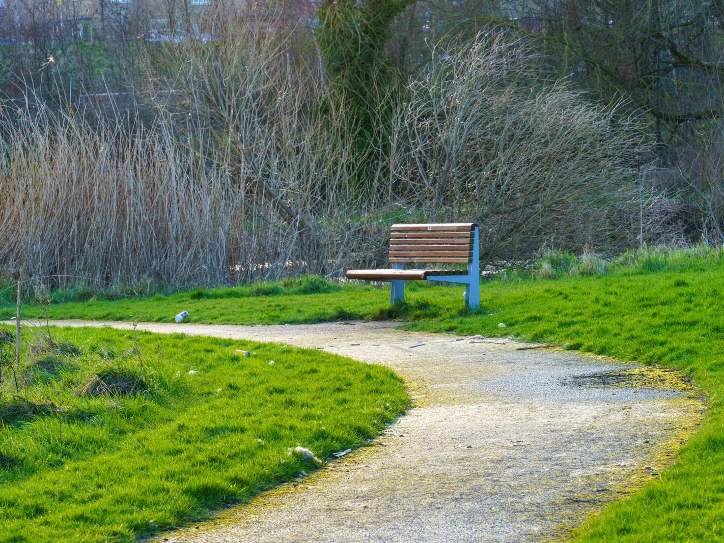 A SECTION OF TOLKA VALLEY PARK [THERE WERE MANY ON ELECTRIC BIKES BUT FEW WALKERS]-228296-1