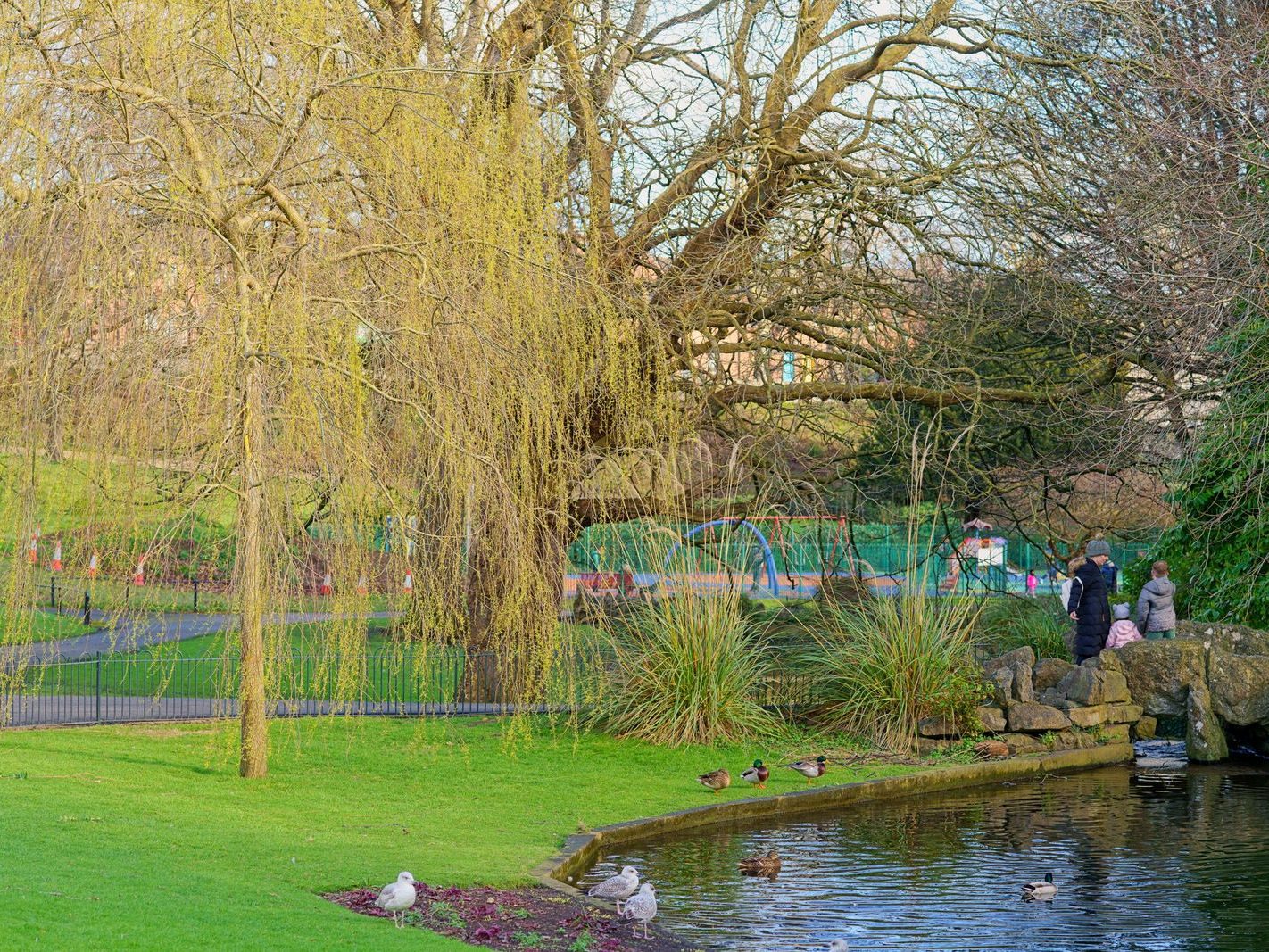 THE PEOPLES FLOWER GARDENS IN PHOENIX PARK [I USED AN 85MM LENS]-228544-1