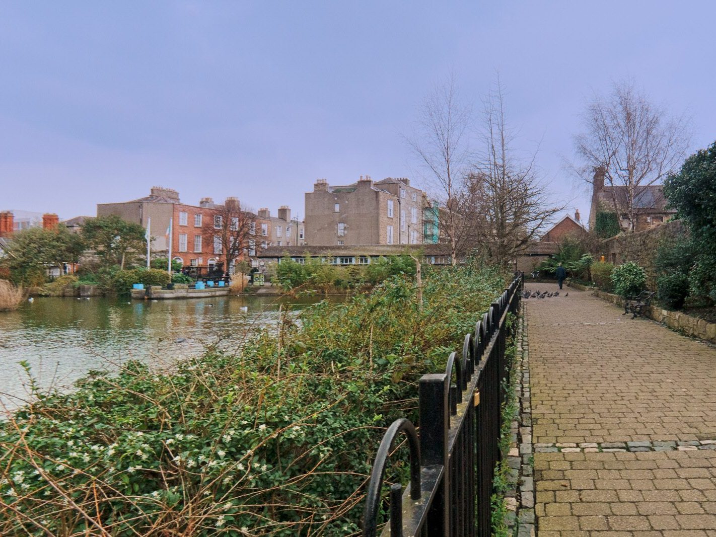 BLESSINGTON STREET BASIN [A SECRET RETREAT WITHIN A VERY BUSY PART OF THE CITY-229358-1