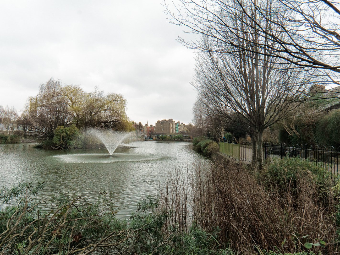 BLESSINGTON STREET BASIN [A SECRET RETREAT WITHIN A VERY BUSY PART OF THE CITY-229363-1