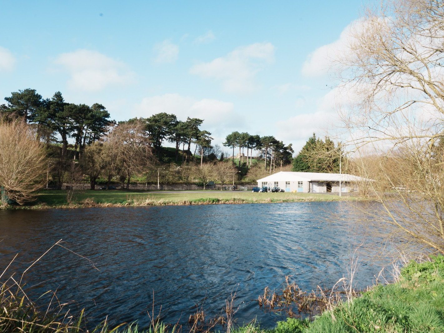 THE PARKLAND ALONG THE LIFFEY [AT ISLANDBRIDGE ACROSS FROM THE ROWING CLUBS]-223106-1