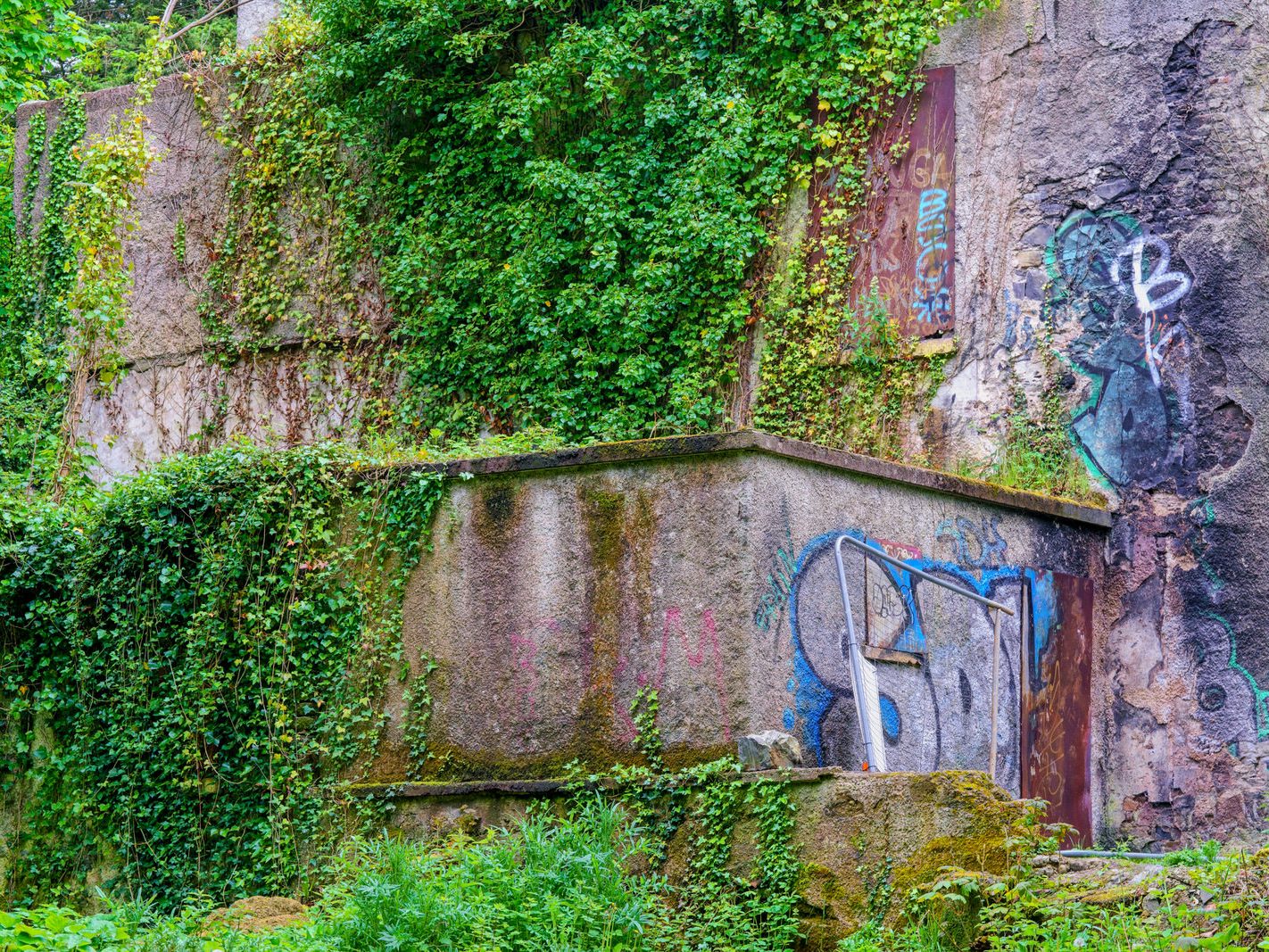 NEAR FARMLEIGH BRIDGE AND THE OLD HARRIS'S HOUSE [TWO DERELICT STRUCTURES AT WATERSTOWN PARK IN PALMERSTOWN]-232562-1