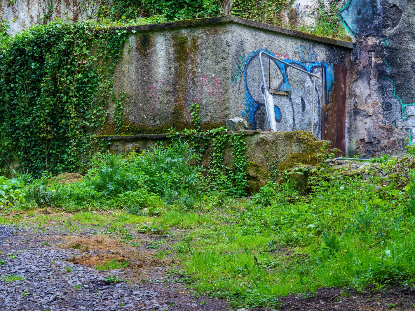 NEAR FARMLEIGH BRIDGE AND THE OLD HARRIS'S HOUSE [TWO DERELICT STRUCTURES AT WATERSTOWN PARK IN PALMERSTOWN]-232563-1