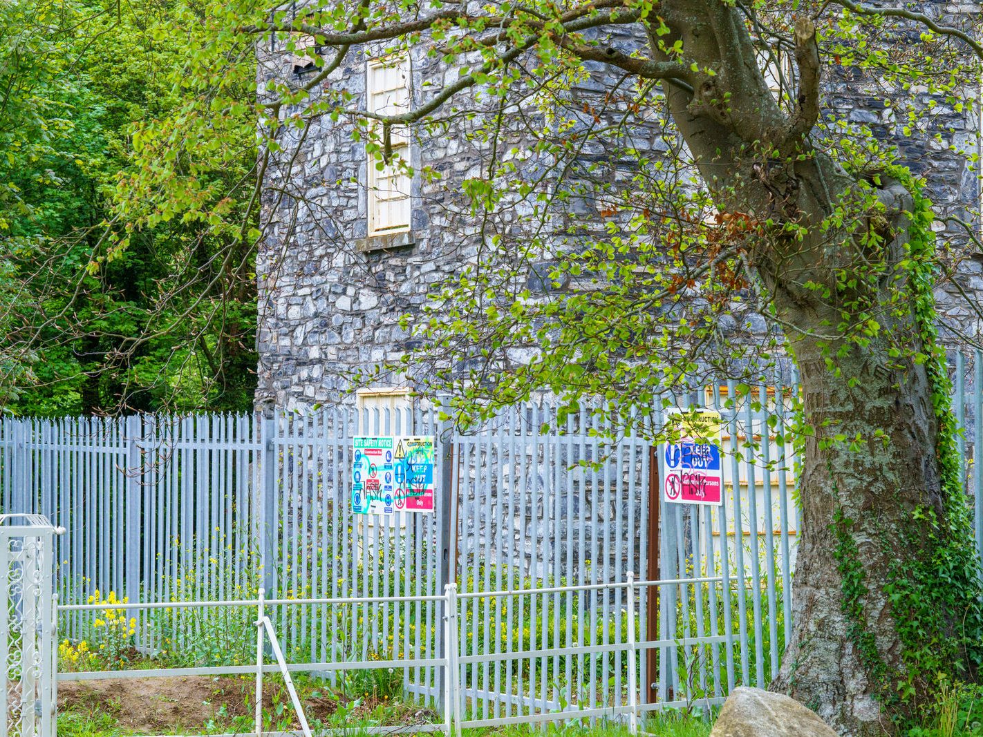 NEAR FARMLEIGH BRIDGE AND THE OLD HARRIS'S HOUSE [TWO DERELICT STRUCTURES AT WATERSTOWN PARK IN PALMERSTOWN]-232572-1