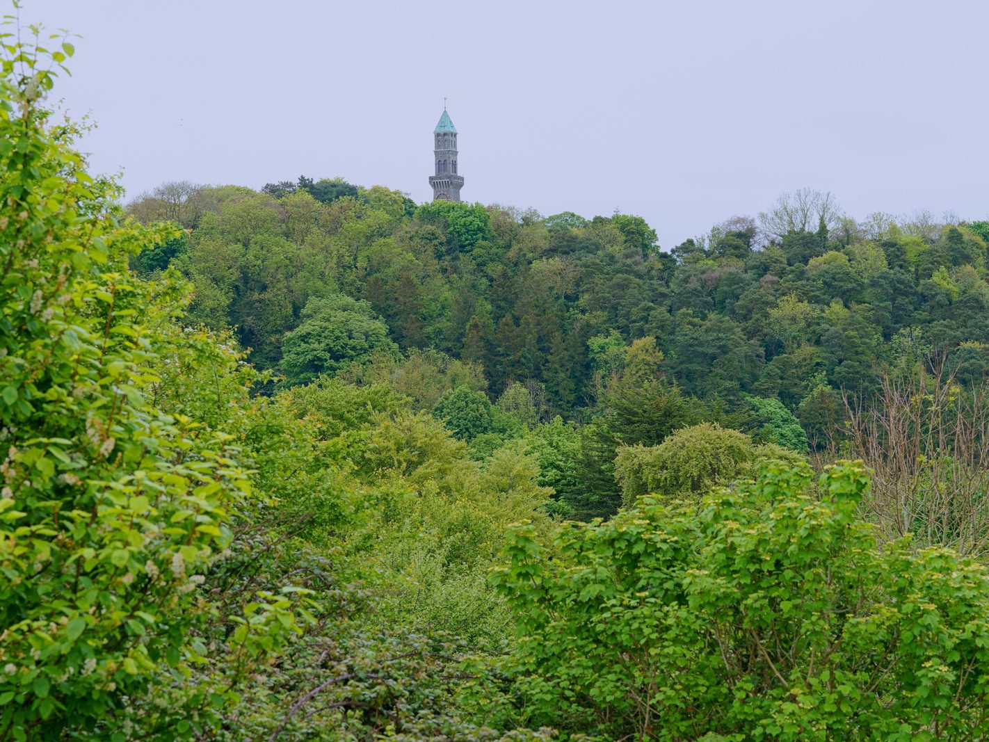 THE OLD GUINNESS CLOCK TOWER AT FARMLEIGH [AS SEEN FROM WATERSTOWN PUBLIC PARK]-232481-1