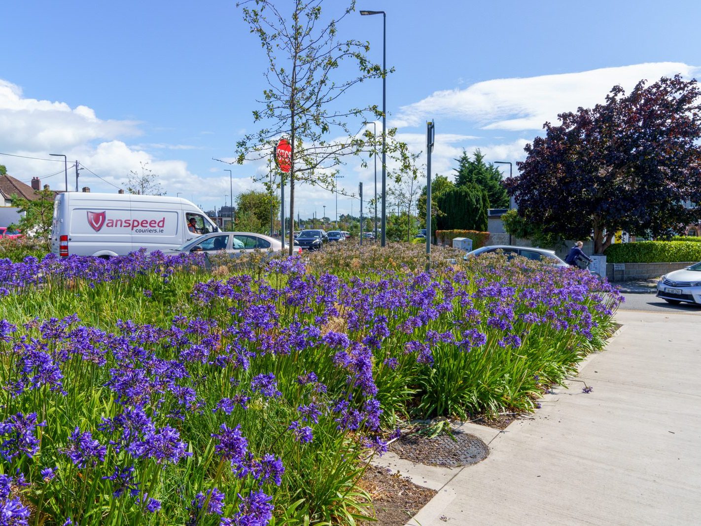 AN ATTRACTIVE COLLECTION OF MICRO GARDENS AND POCKET PARKS [ON LOWER KILMACUD ROAD]-239072-1