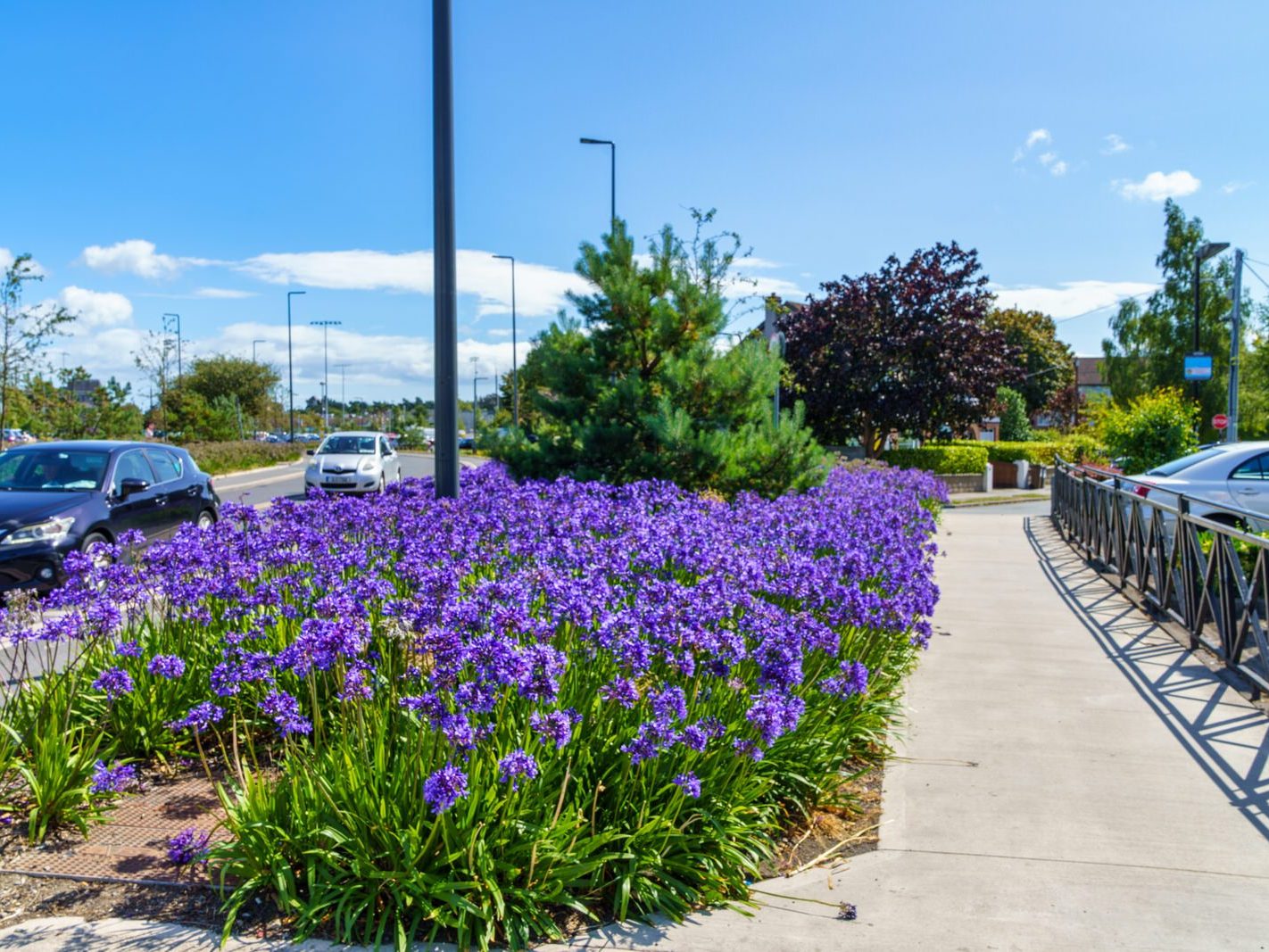 AN ATTRACTIVE COLLECTION OF MICRO GARDENS AND POCKET PARKS [ON LOWER KILMACUD ROAD]-239074-1