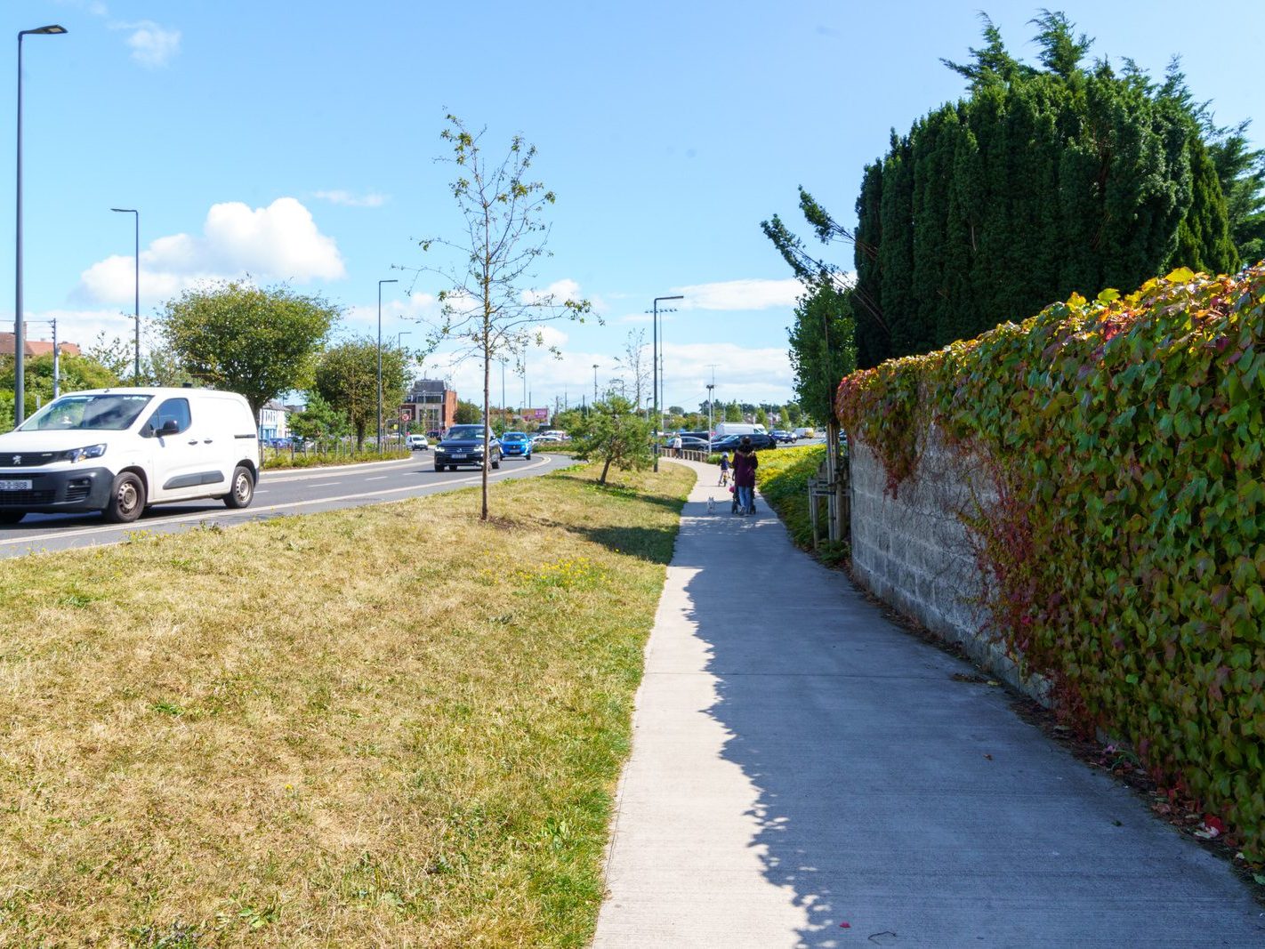 AN ATTRACTIVE COLLECTION OF MICRO GARDENS AND POCKET PARKS [ON LOWER KILMACUD ROAD]-239076-1