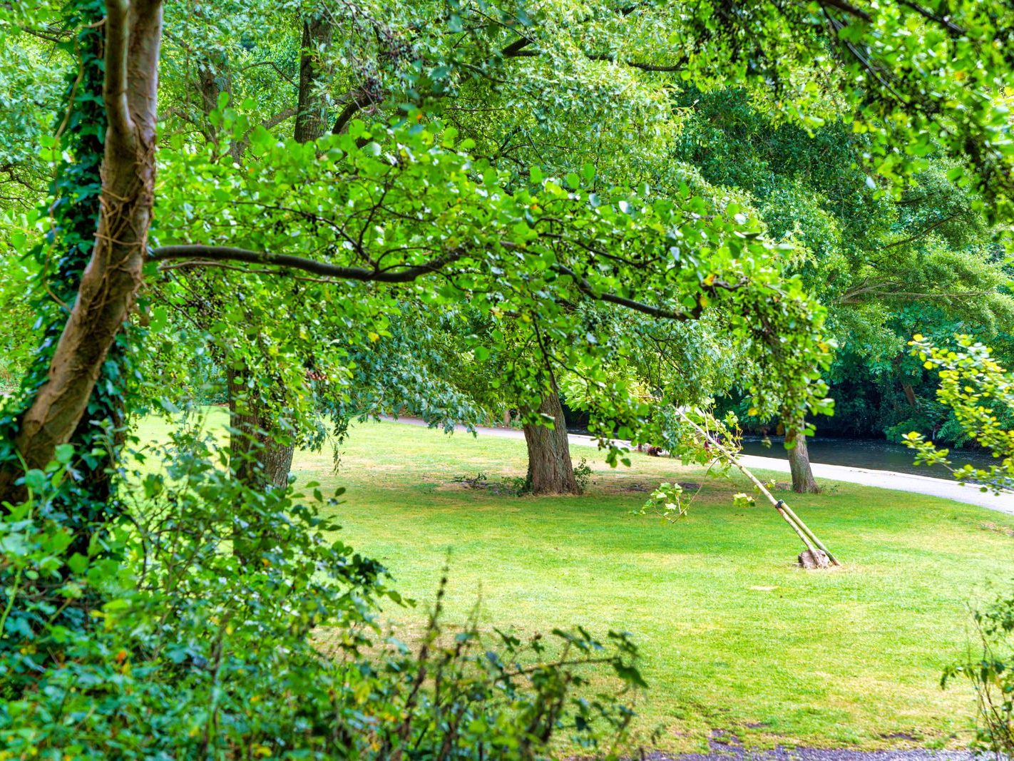 GRACE O'DONNELL MEMORIAL PARK [AND THE DARTRY PARK WATERFALL]-239188-1