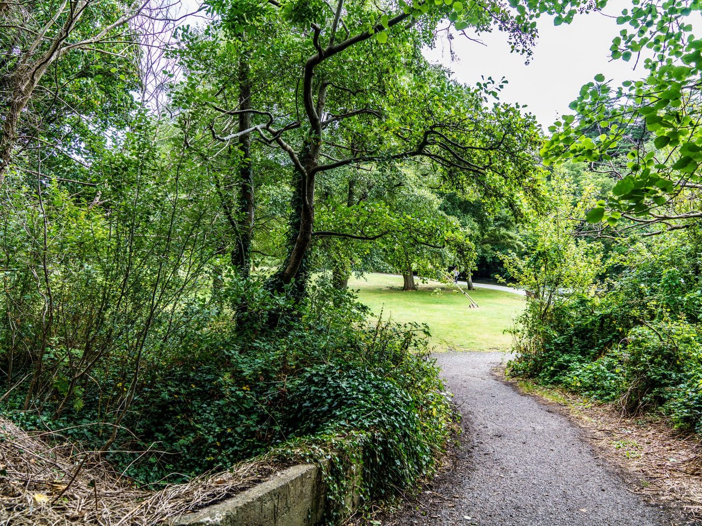 GRACE O'DONNELL MEMORIAL PARK [AND THE DARTRY PARK WATERFALL]-239189-1