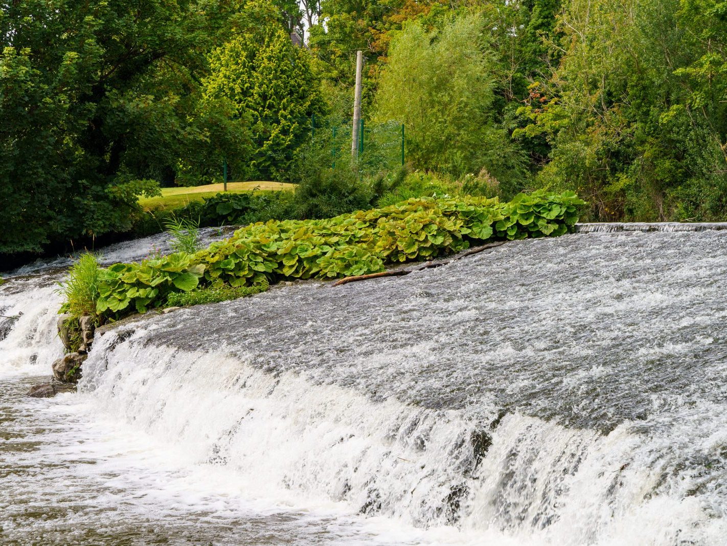 GRACE O'DONNELL MEMORIAL PARK [AND THE DARTRY PARK WATERFALL]-239192-1