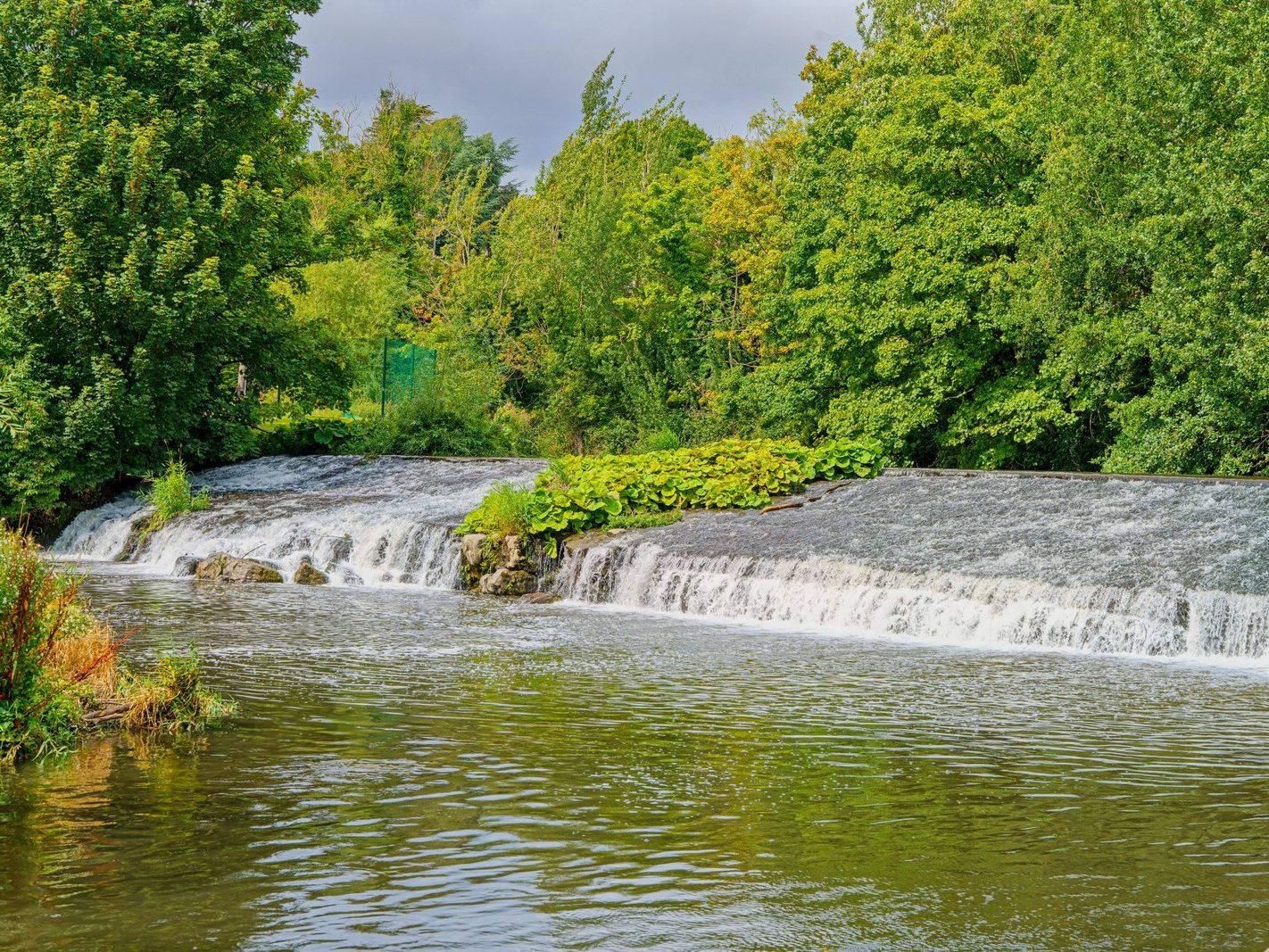 GRACE O'DONNELL MEMORIAL PARK [AND THE DARTRY PARK WATERFALL]-239194-1