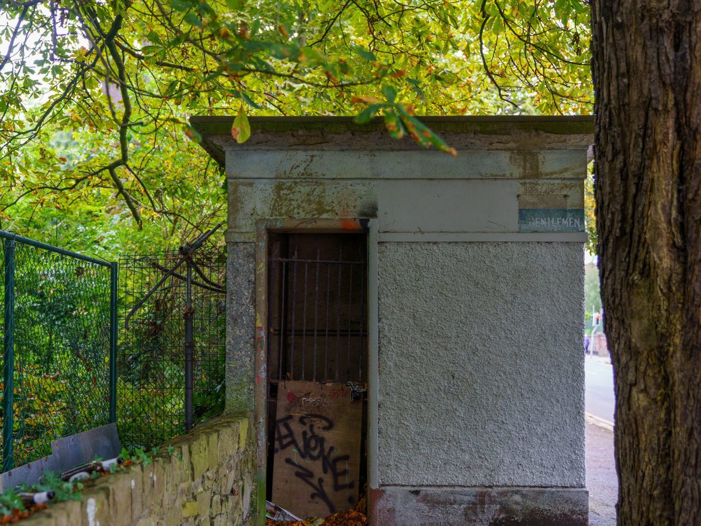 THE REMAINS OF A GENTS ONLY PUBLIC TOILET [PALMERSTOWN PARK]--239186-1