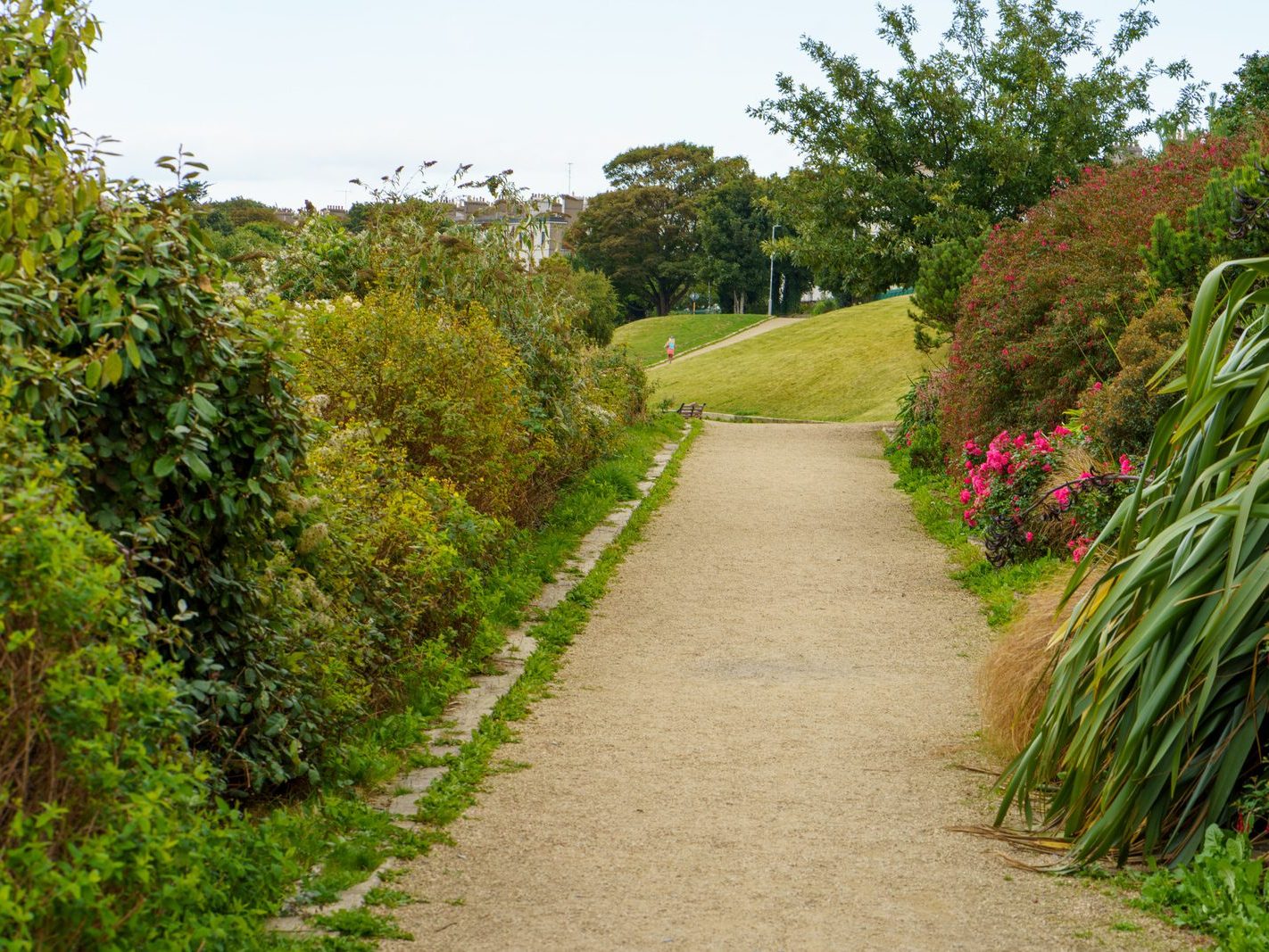 SEAPOINT PUBLIC PARK IN DUN LAOGHAIRE [BETWEEN SEAPOINT STATION AND SALTHILL MONKSTOWN STATION]-240506-1