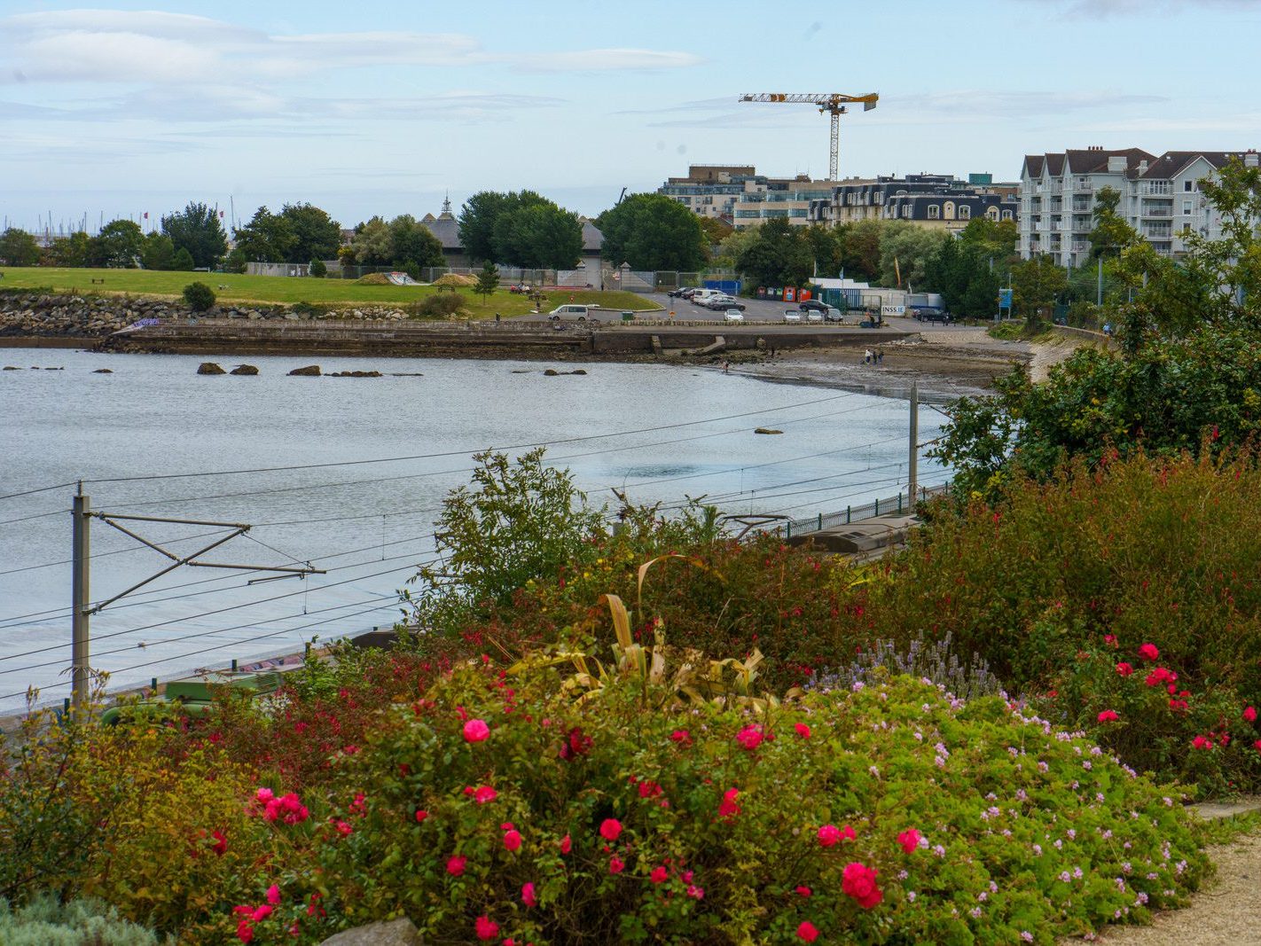 SEAPOINT PUBLIC PARK IN DUN LAOGHAIRE [BETWEEN SEAPOINT STATION AND SALTHILL MONKSTOWN STATION]-240529-1