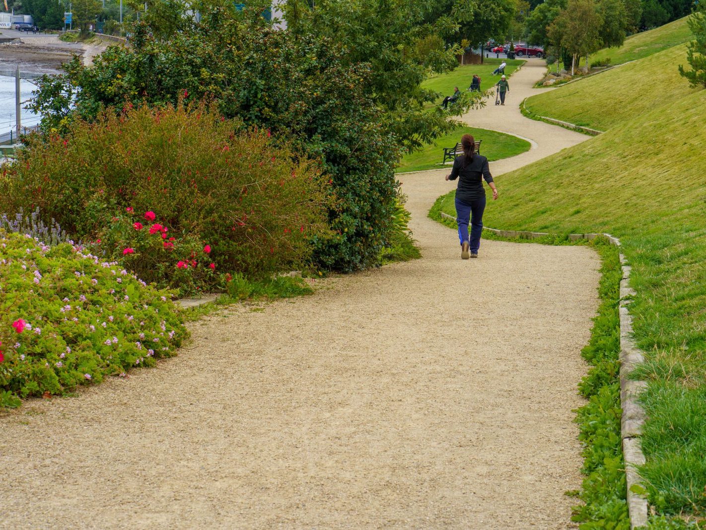 SEAPOINT PUBLIC PARK IN DUN LAOGHAIRE [BETWEEN SEAPOINT STATION AND SALTHILL MONKSTOWN STATION]-240530-1