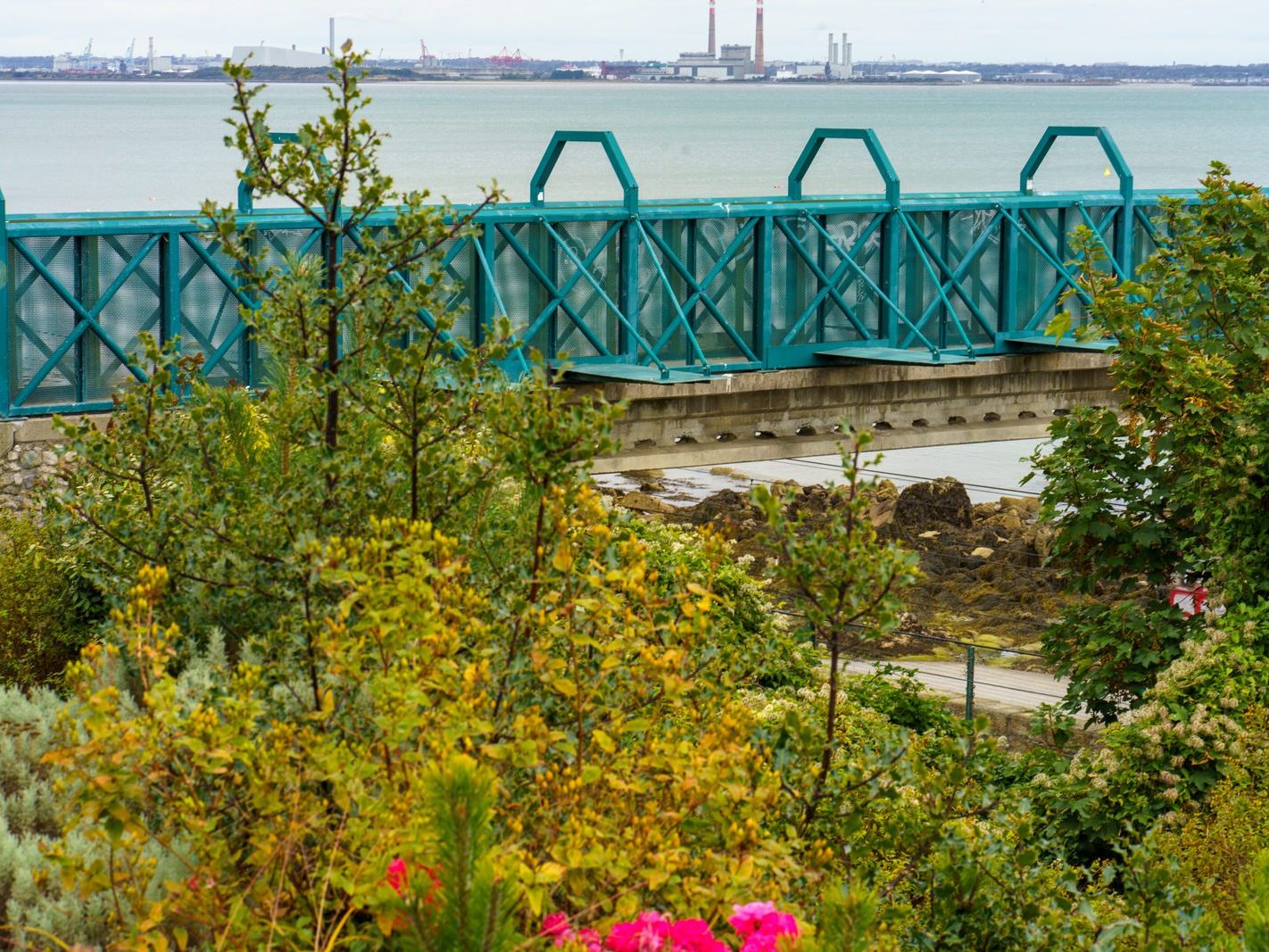 SEAPOINT PUBLIC PARK IN DUN LAOGHAIRE [BETWEEN SEAPOINT STATION AND SALTHILL MONKSTOWN STATION]-240531-1